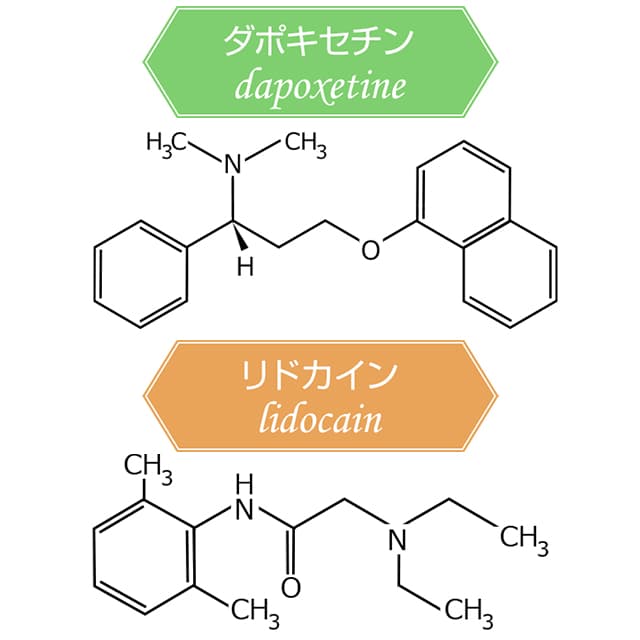 早漏防止薬の成分はリドカイン・ダポキセチンが代表的