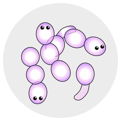 カンジダ症は真菌（カビ）の異常繁殖により性器周辺やおりものに異常がでる